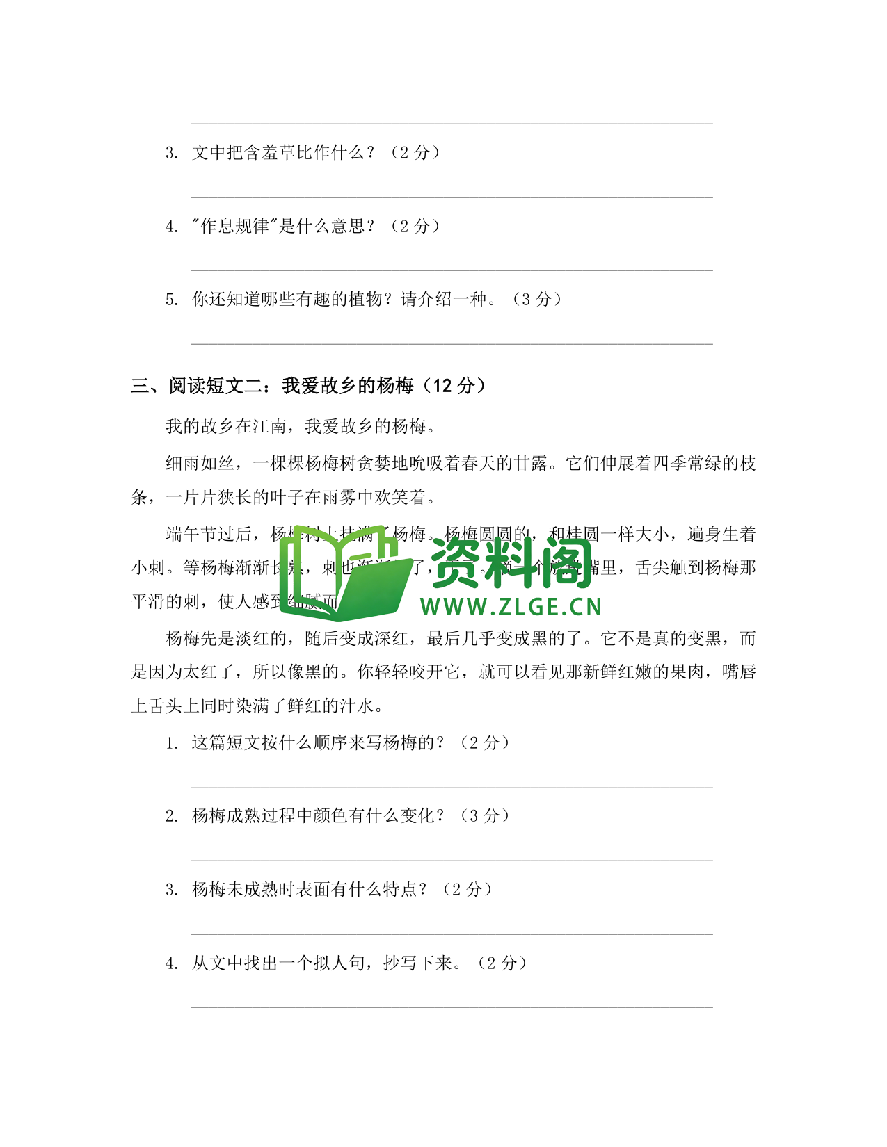 预览图2
