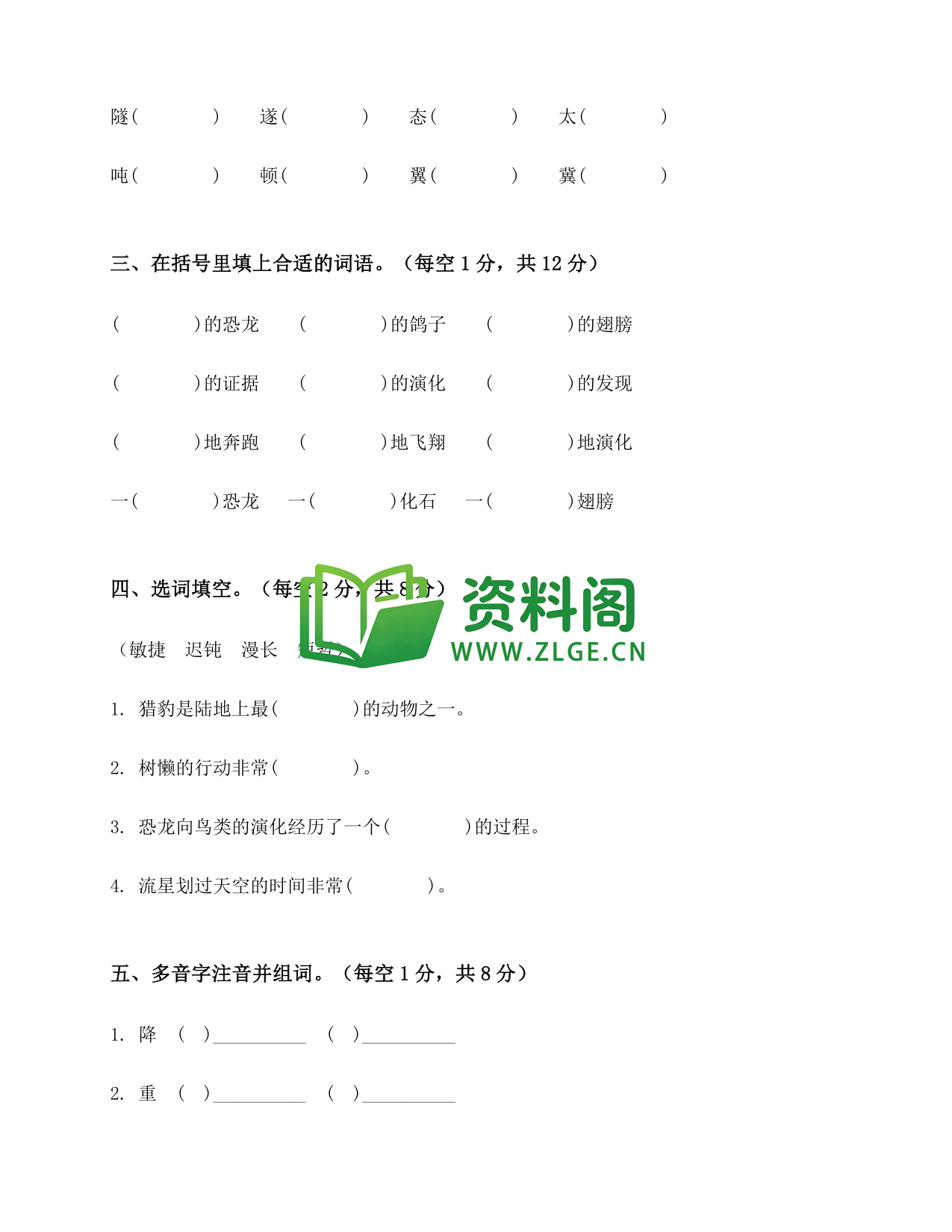 预览图2