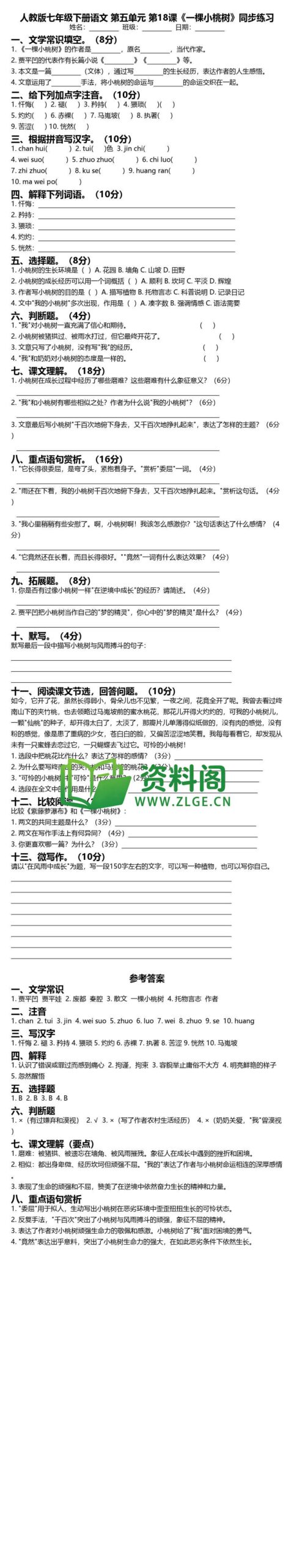 七年级下册语文-一棵小桃树同步练习插图